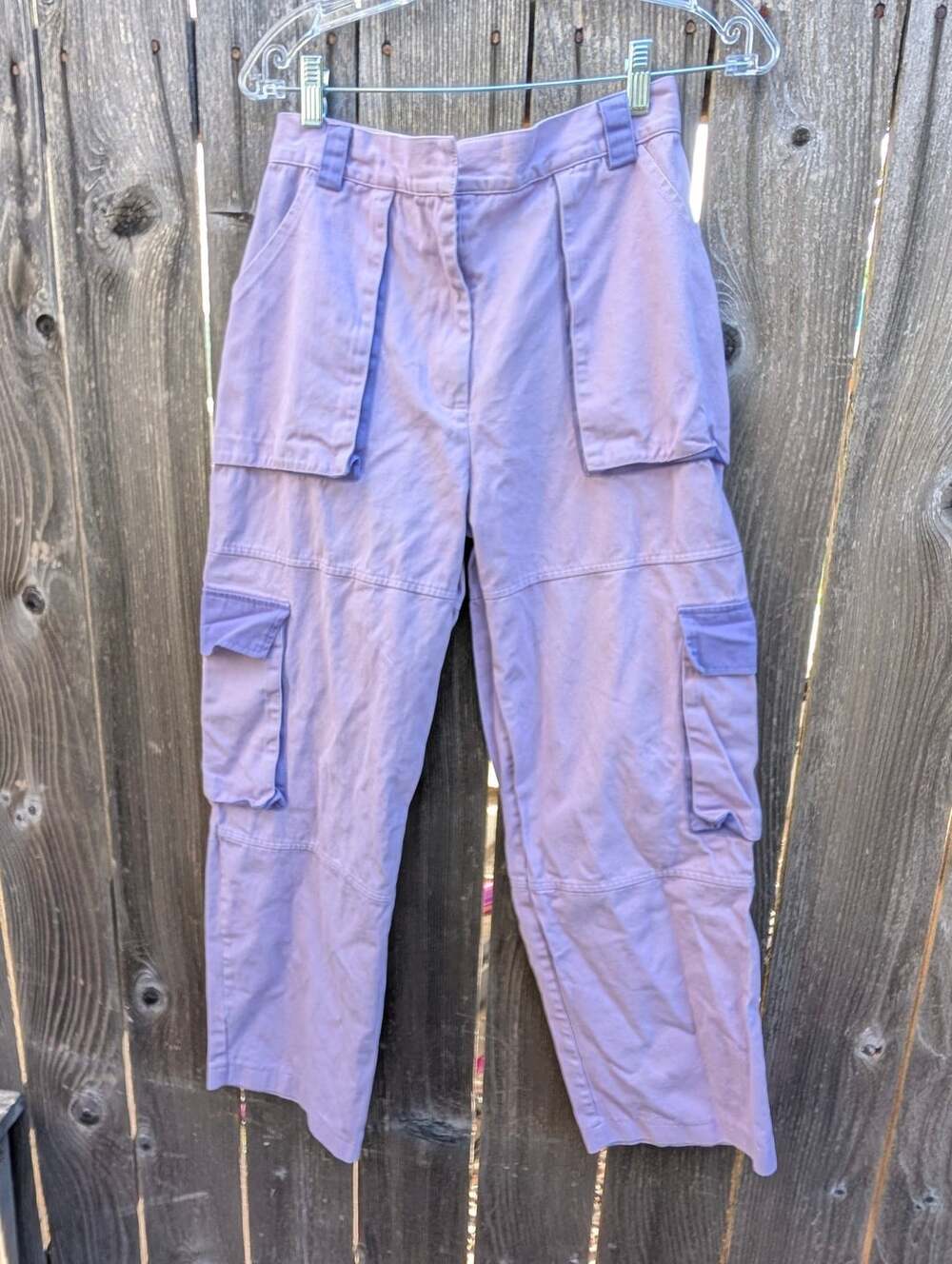 The Ragged Priest Purple Cargo Pants Size S Wide Leg